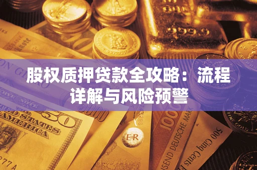武汉股权质押贷款全攻略：流程详解与风险预警