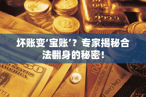 武汉坏账变‘宝账’？专家揭秘合法翻身的秘密！