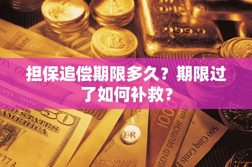 武汉担保追偿期限多久？期限过了如何补救？