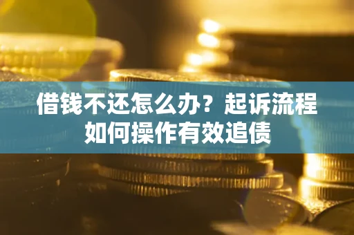 武汉借钱不还怎么办？起诉流程如何操作有效追债