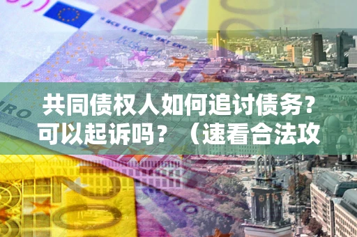 武汉共同债权人如何追讨债务？可以起诉吗？（速看合法攻略）