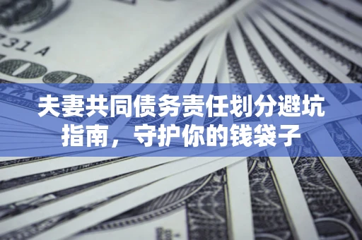 武汉夫妻共同债务责任划分避坑指南，守护你的钱袋子