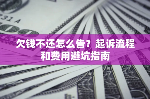 武汉欠钱不还怎么告？起诉流程和费用避坑指南