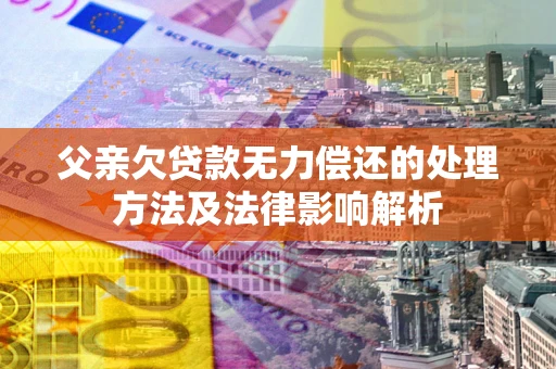 武汉父亲欠贷款无力偿还的处理方法及法律影响解析
