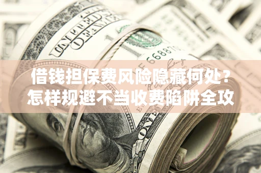 武汉借钱担保费风险隐藏何处？怎样规避不当收费陷阱全攻略！