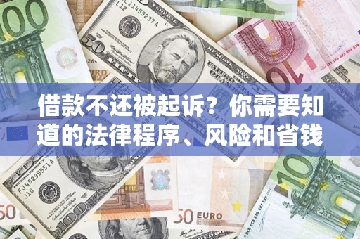 武汉借款不还被起诉？你需要知道的法律程序、风险和省钱技巧