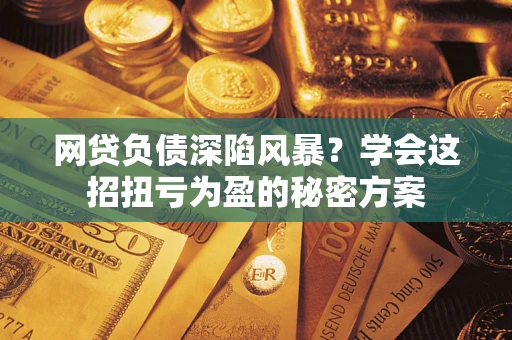 武汉网贷负债深陷风暴？学会这招扭亏为盈的秘密方案